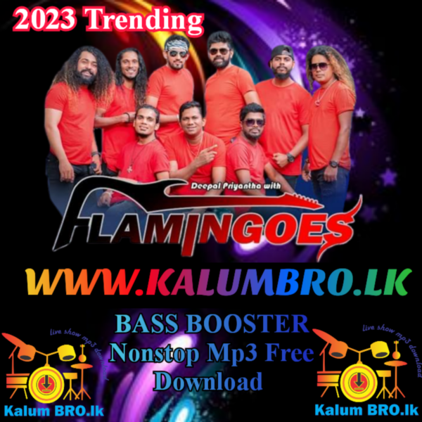 AHUNGALLA FLAMINGOES NONSTOP 2023 #SINHALANONSTOPMP3FREEDOWNLOAD