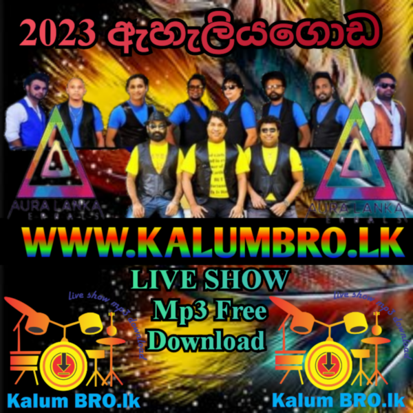 SUNFLOWER AURA LANKA EHELIYAGODA 2023