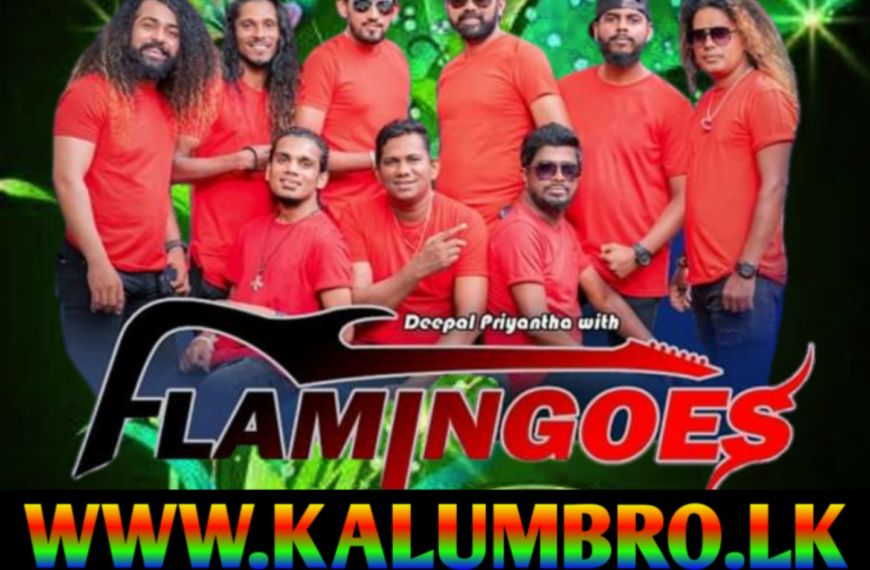 AHUNGALLA FLAMINGOES LIVE IN BIBGIRIYA 2023 #FLAMINGOESNEWNONSTOPMP3FREEDOWNLOAD #SINHALALIVESONGSMP3FREEDOWNLOAD #SINHALANEWSONGMP3FREEDOWNLOAD