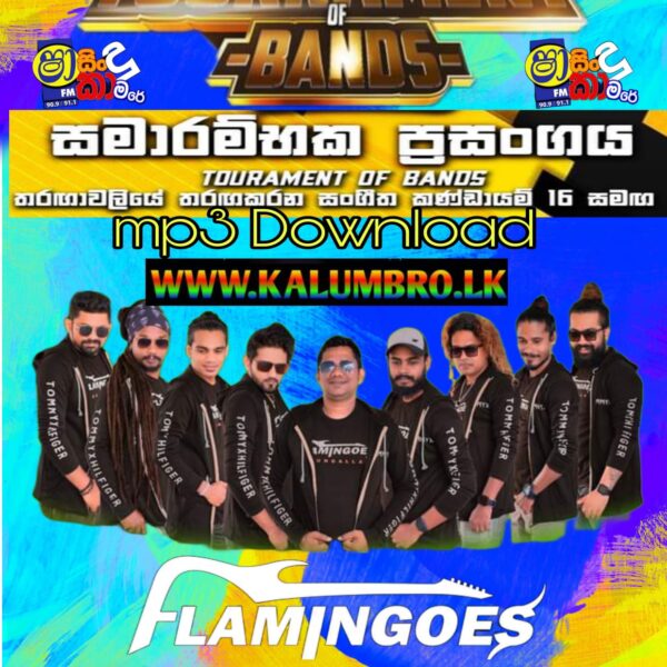 SHAA FM SINDU KAMARE AHUNGALLA FLAMINGOES 2023.08.04