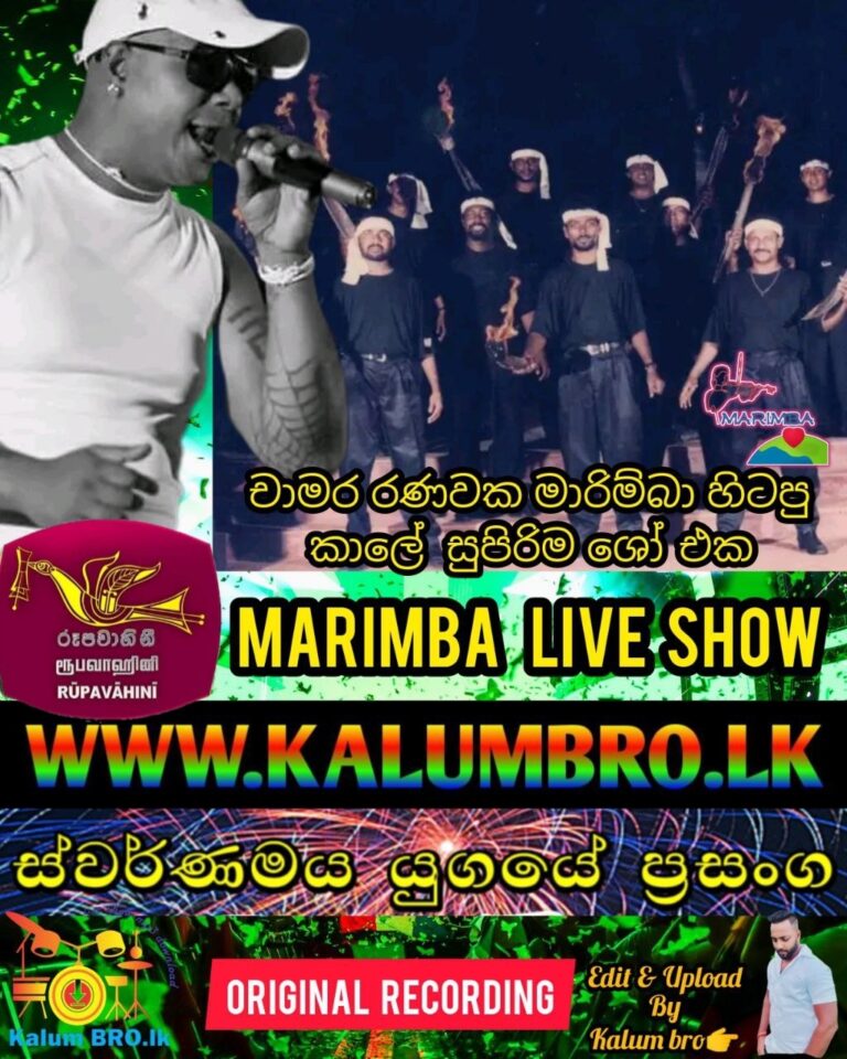 MARIMBA LIVE SHOW 2011