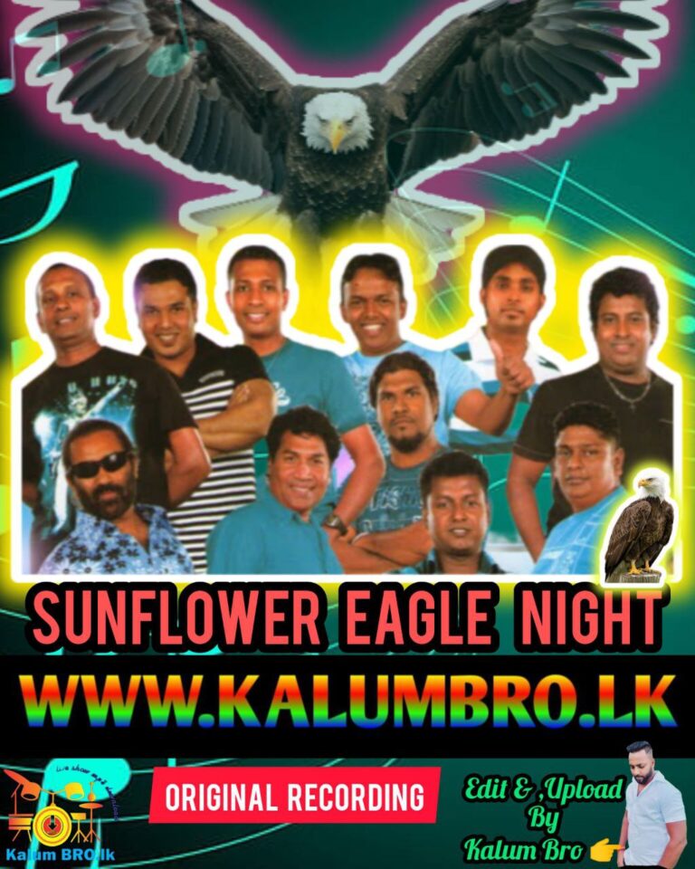 SUNFLOWER LIVE IN ENGLE NIGHT