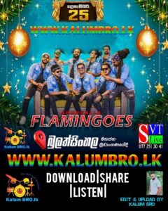 AHUNGALLA FLAMINGOES LIVE IN MEGA MELA BULATHSINHALA 2023-12-25