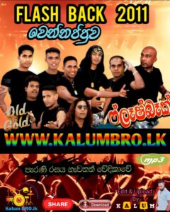 FLASHBACK LIVE IN WENNAPPUWA 2011