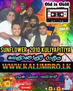 SUNFLOWER LIVE IN NESTOMALT GEETHANJALEE KULIYAPITIYA 2010