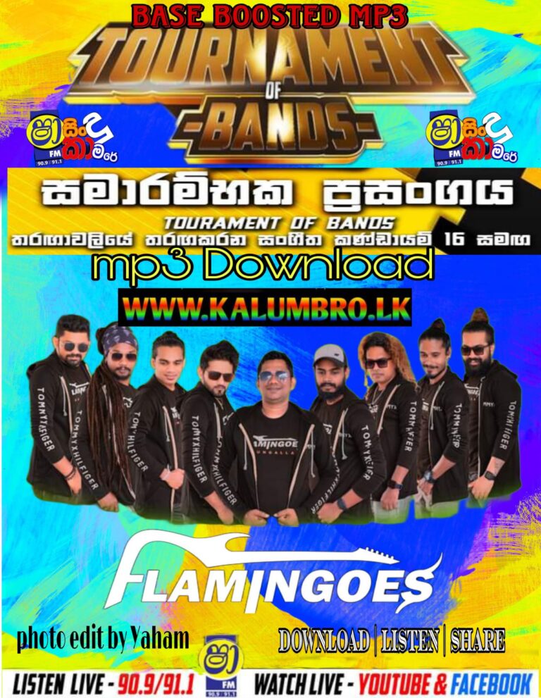 SHAA FM SINDU KAMARE AHUNGALLA FLAMINGOES 2023.08.04