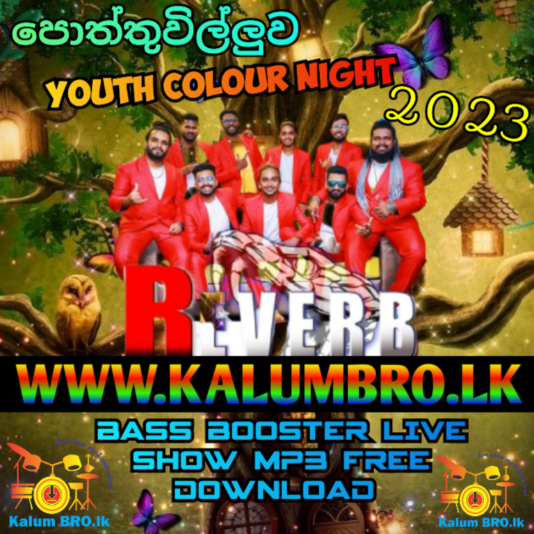 BANDARAGAMA REVERB LIVE IN POTHTHUVILA 2023