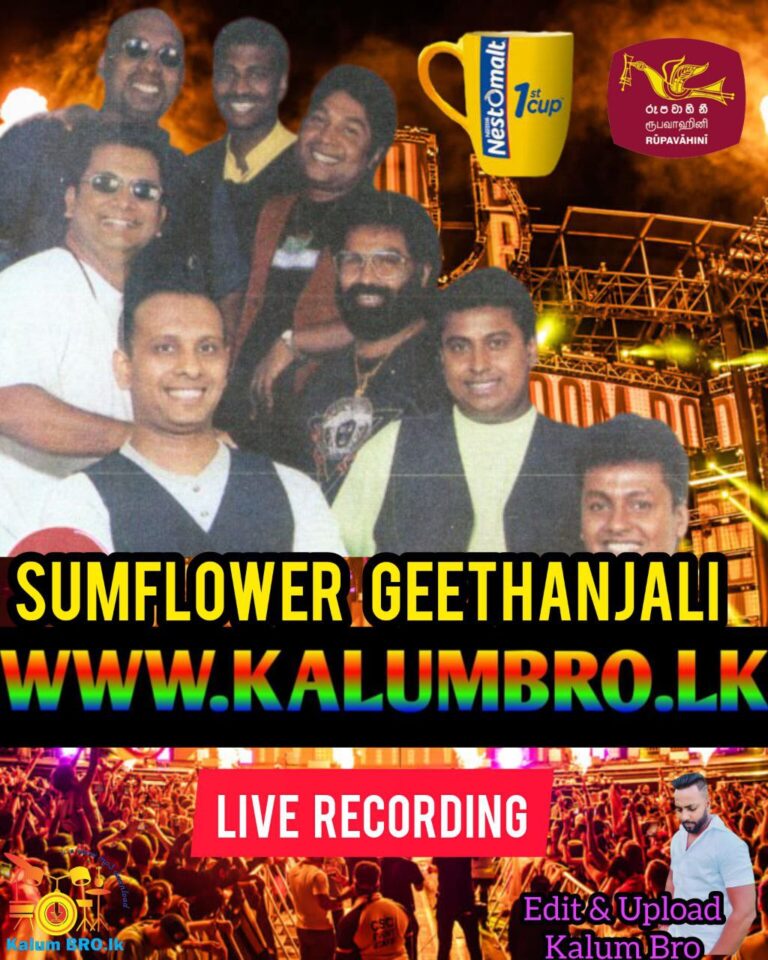 SUNFLOWER LIVE IN NESTOMALT GEETHANJALI EMBILIPITIYA